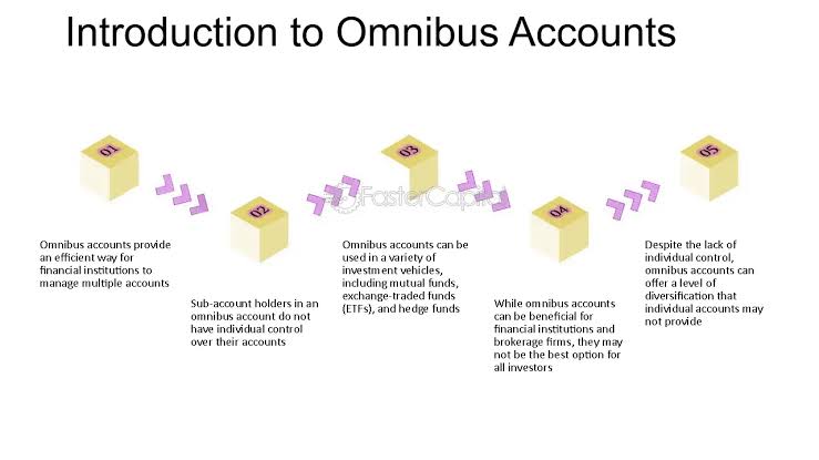 Day 194: Omnibus Account