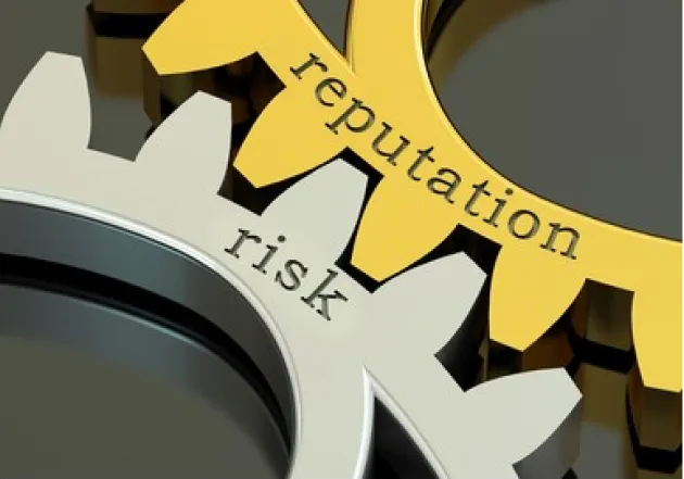 Day 217: Reputation Risk